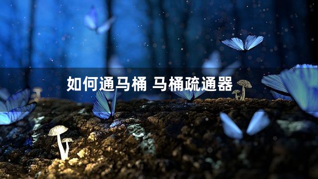 如何通马桶 马桶疏通器