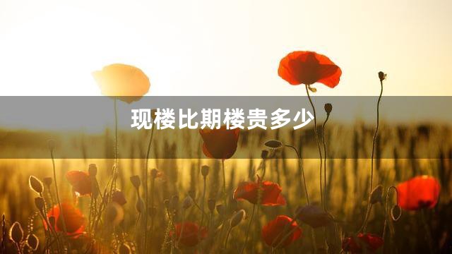 现楼比期楼贵多少