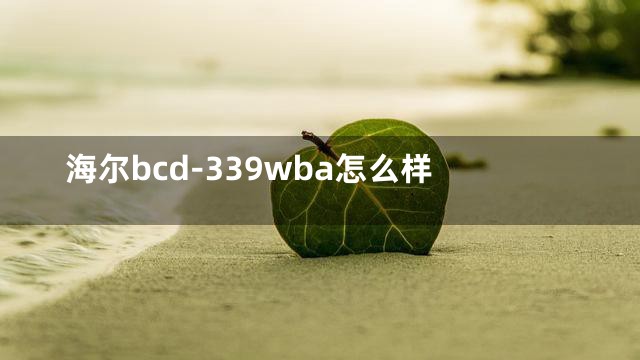 海尔bcd-339wba怎么样