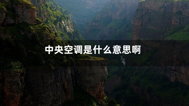 中央空调是什么意思啊