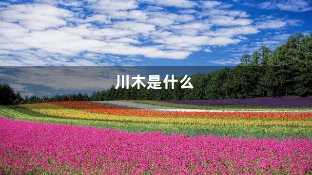 川木是什么