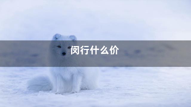 闵行什么价