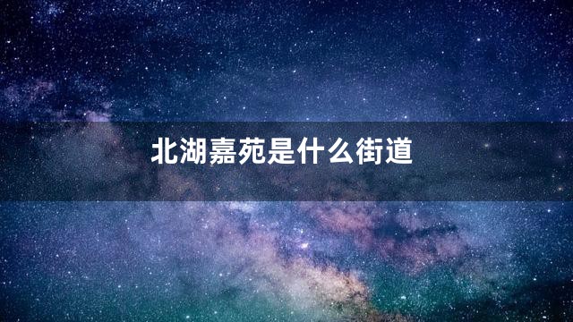 北湖嘉苑是什么街道