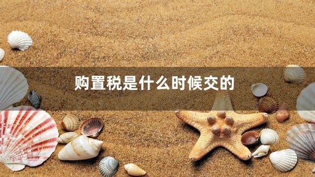 购置税是什么时候交的