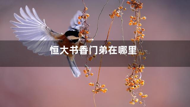 恒大书香门弟在哪里