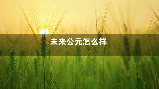 未来公元怎么样