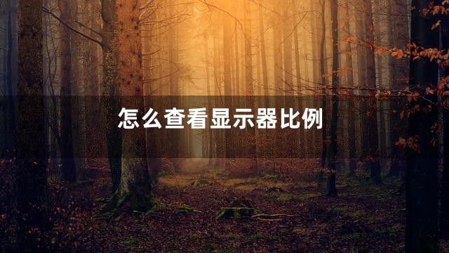 怎么查看显示器比例