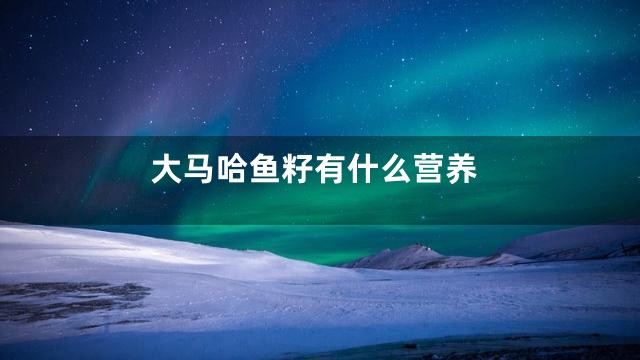 大马哈鱼籽有什么营养