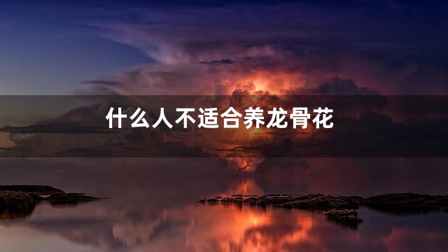 什么人不适合养龙骨花