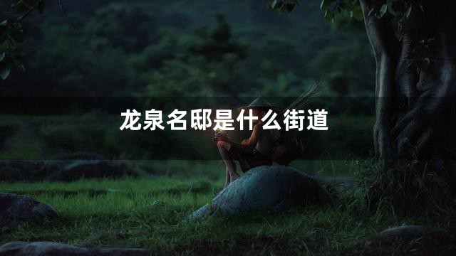 龙泉名邸是什么街道