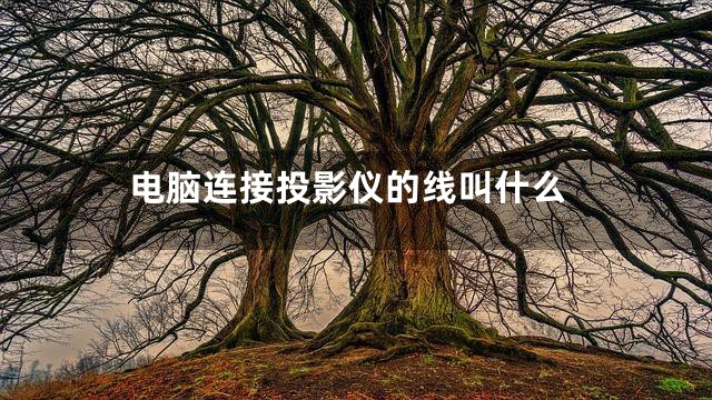 电脑连接投影仪的线叫什么