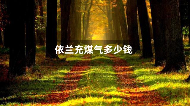 依兰充煤气多少钱