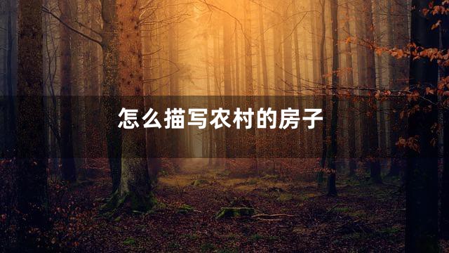 怎么描写农村的房子