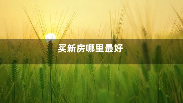买新房哪里最好