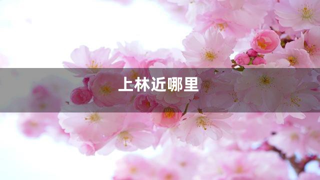 上林近哪里