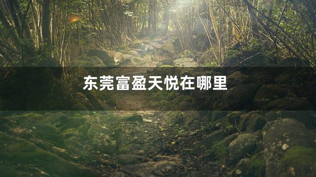 东莞富盈天悦在哪里