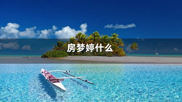 房梦婷什么