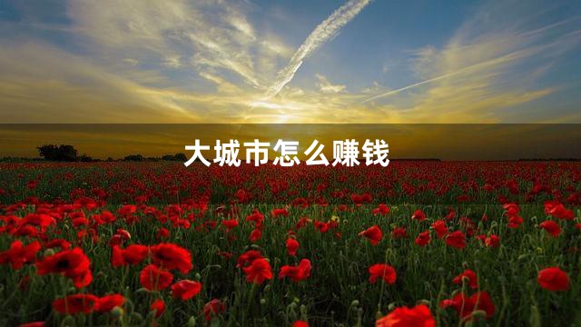 大城市怎么赚钱