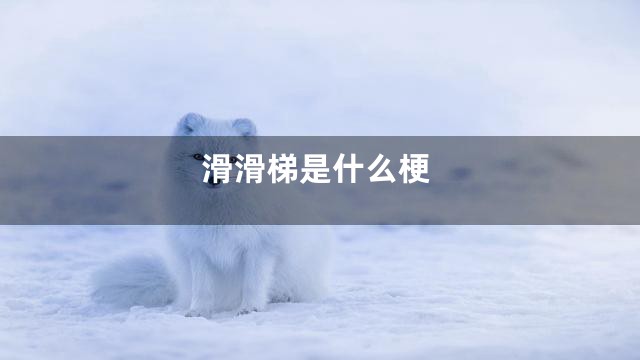 滑滑梯是什么梗
