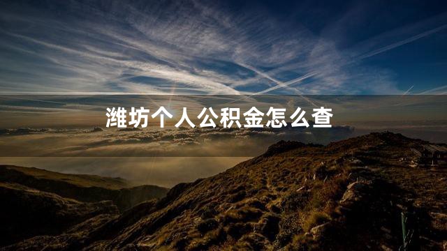 潍坊个人公积金怎么查