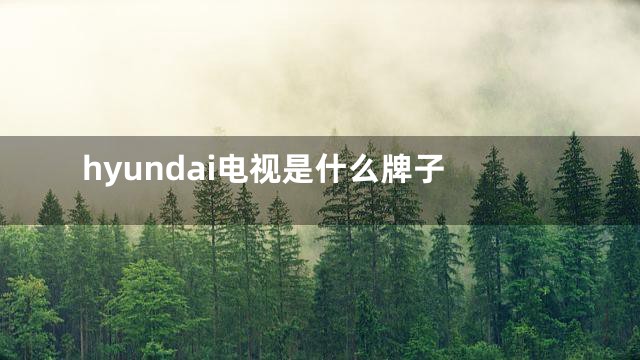 hyundai电视是什么牌子