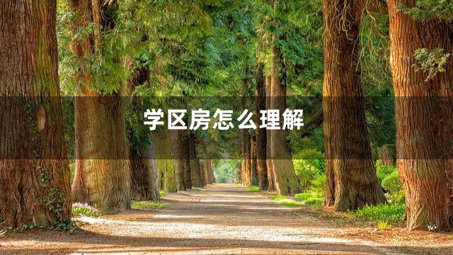 学区房怎么理解