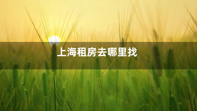 上海租房去哪里找