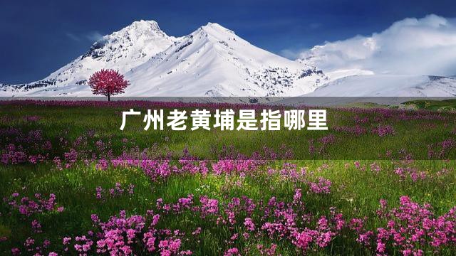 广州老黄埔是指哪里