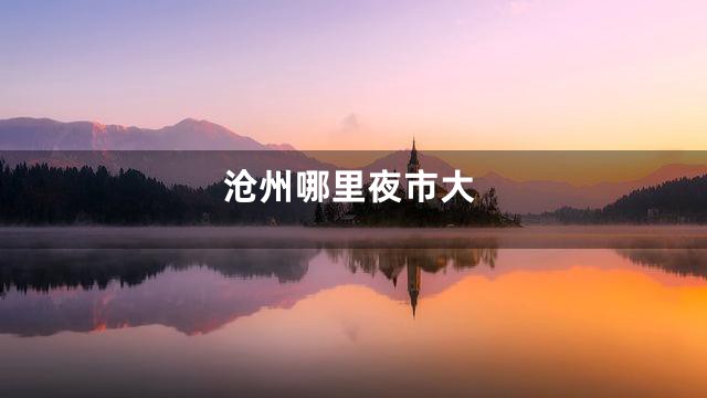 沧州哪里夜市大
