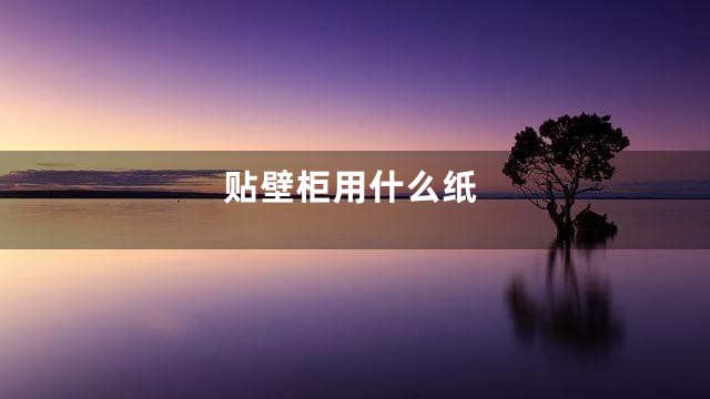 贴壁柜用什么纸
