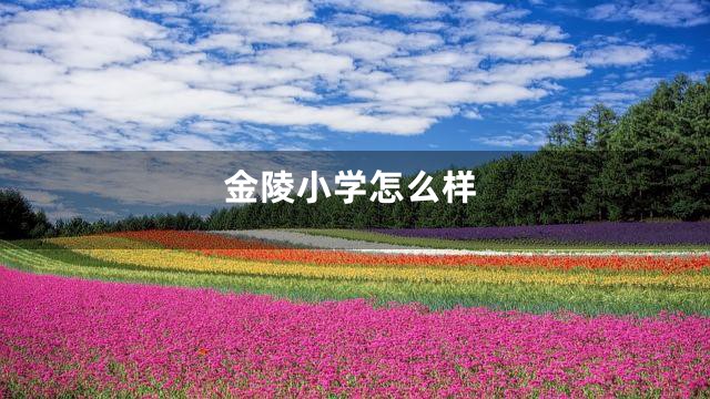 金陵小学怎么样