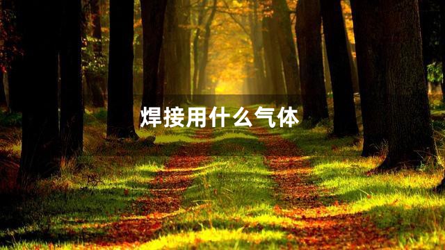 焊接用什么气体