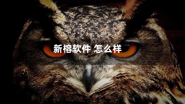 新榕软件 怎么样