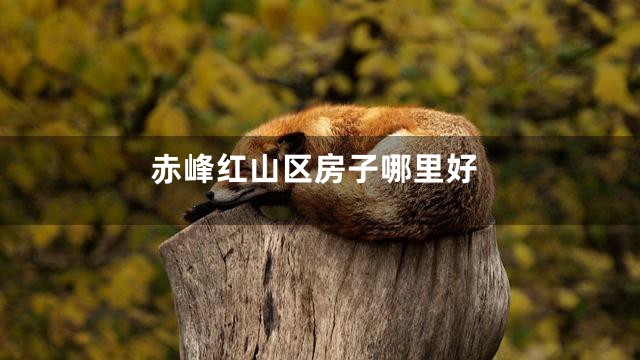 赤峰红山区房子哪里好