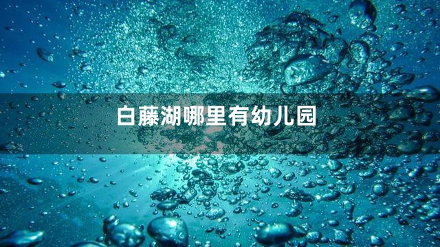 白藤湖哪里有幼儿园