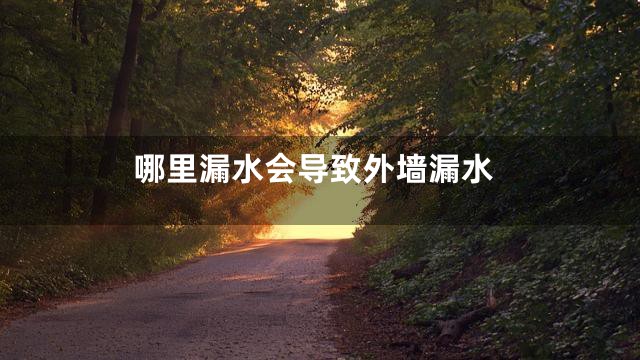 哪里漏水会导致外墙漏水