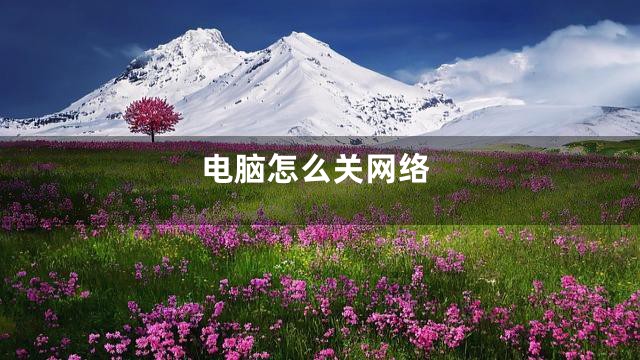 电脑怎么关网络
