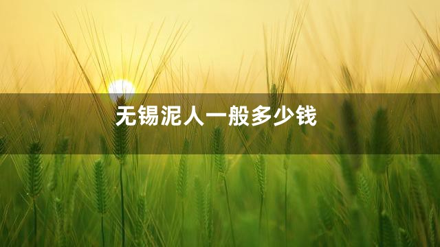 无锡泥人一般多少钱