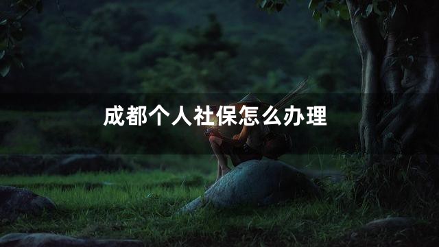 成都个人社保怎么办理