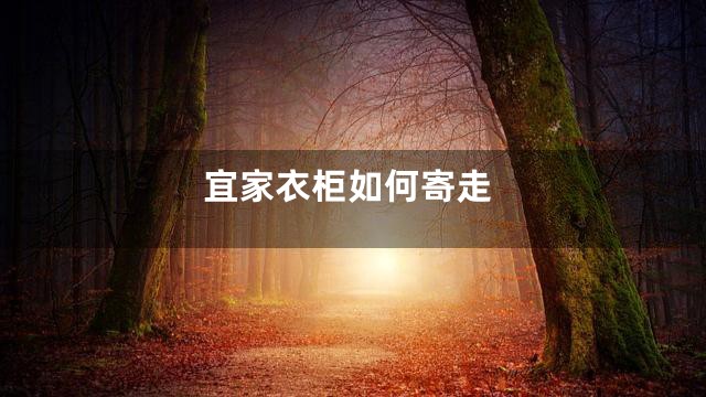 宜家衣柜如何寄走