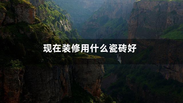 现在装修用什么瓷砖好