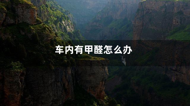 车内有甲醛怎么办