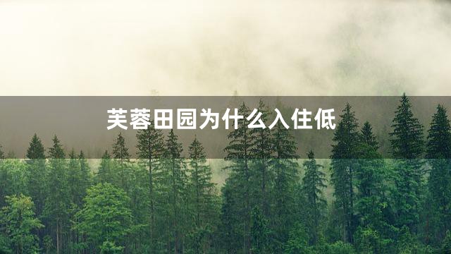 芙蓉田园为什么入住低