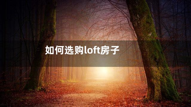 如何选购loft房子