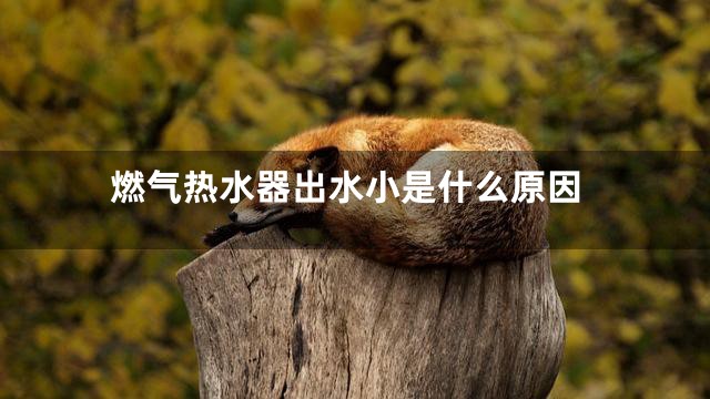 燃气热水器出水小是什么原因