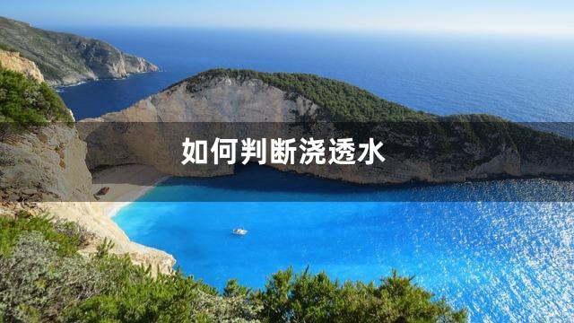 如何判断浇透水