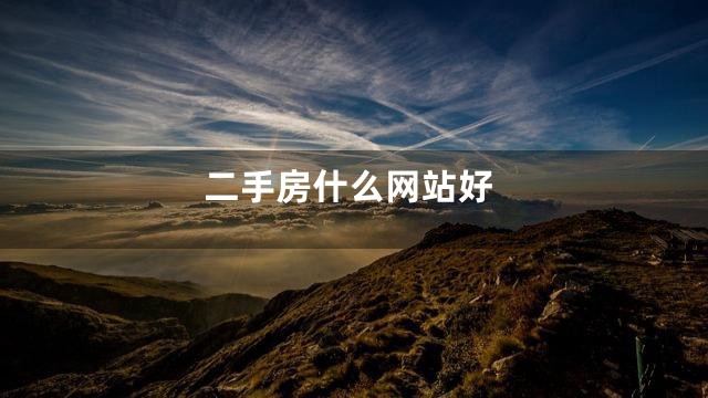二手房什么网站好
