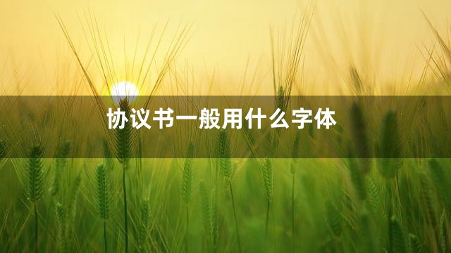 协议书一般用什么字体