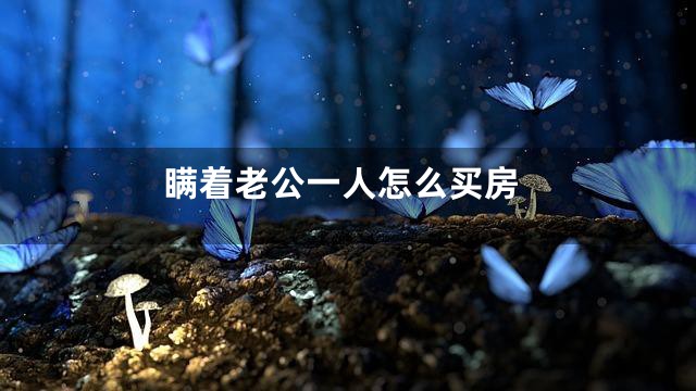 瞒着老公一人怎么买房