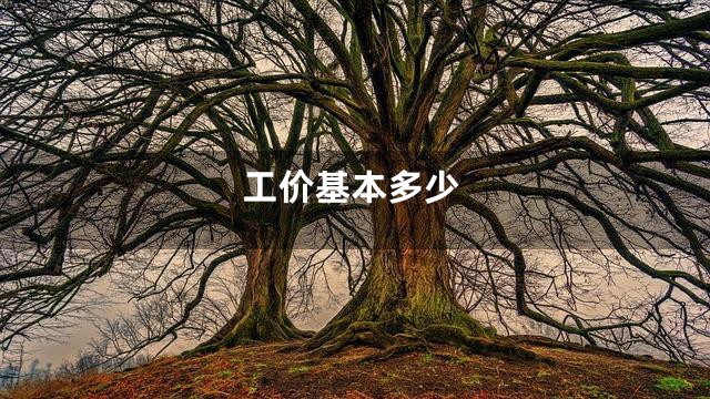 工价基本多少